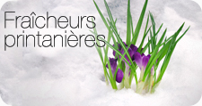 Fraîcheurs printanières
