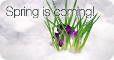 Springtime
