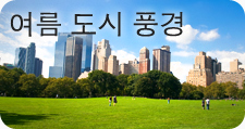 여름 도시 풍경