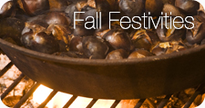 Fall