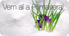 Primavera
