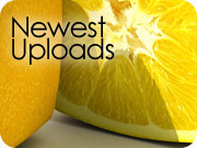 Newest Uploads