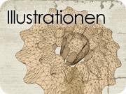 Illustrations