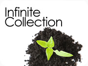 Infinite Collection