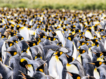 Top portfolio video clips in 4K & HD. 